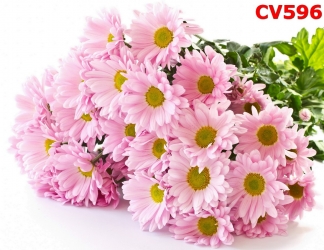 Стол обеденный Цветы
