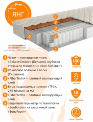 Матрас ортопедический Янг 7 зон